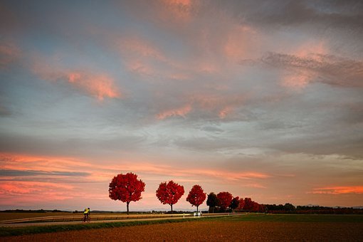 фото взято из открытых источников