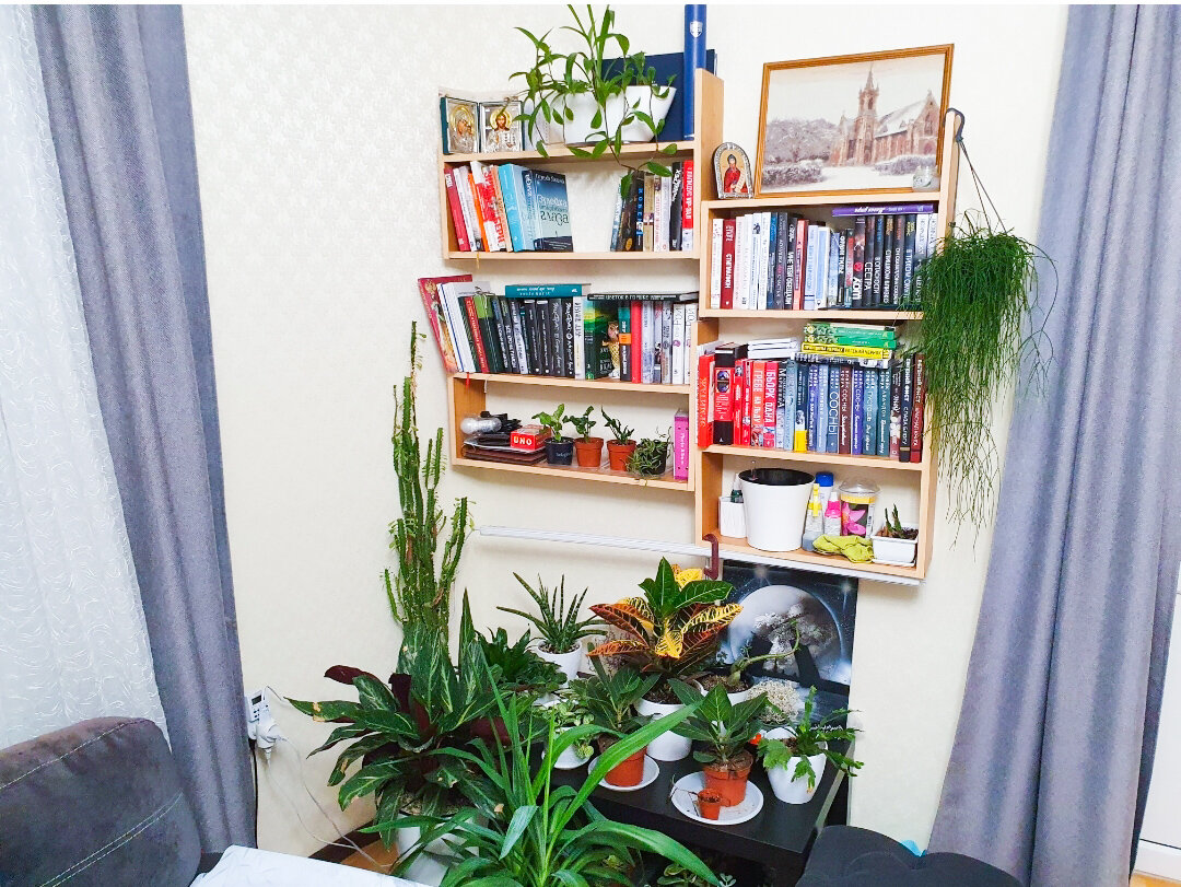 И почему мне это казалось красивым?