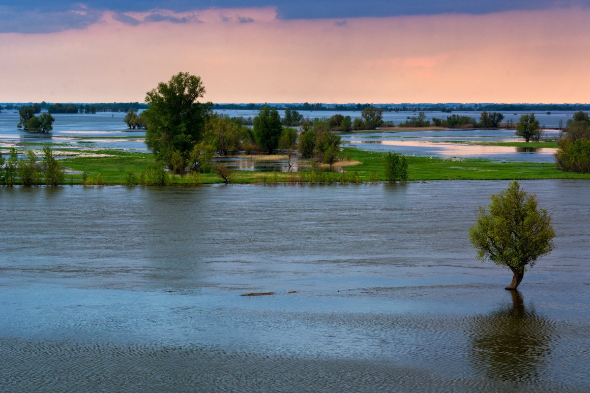 Весной в половодье. Волго - Ахтубинская пойма. Фото:  https://s3.nat-geo.ru/images/2019/5/16/8aef4171bcb241059c654e16e35e41b0.max-1200x800.jpg