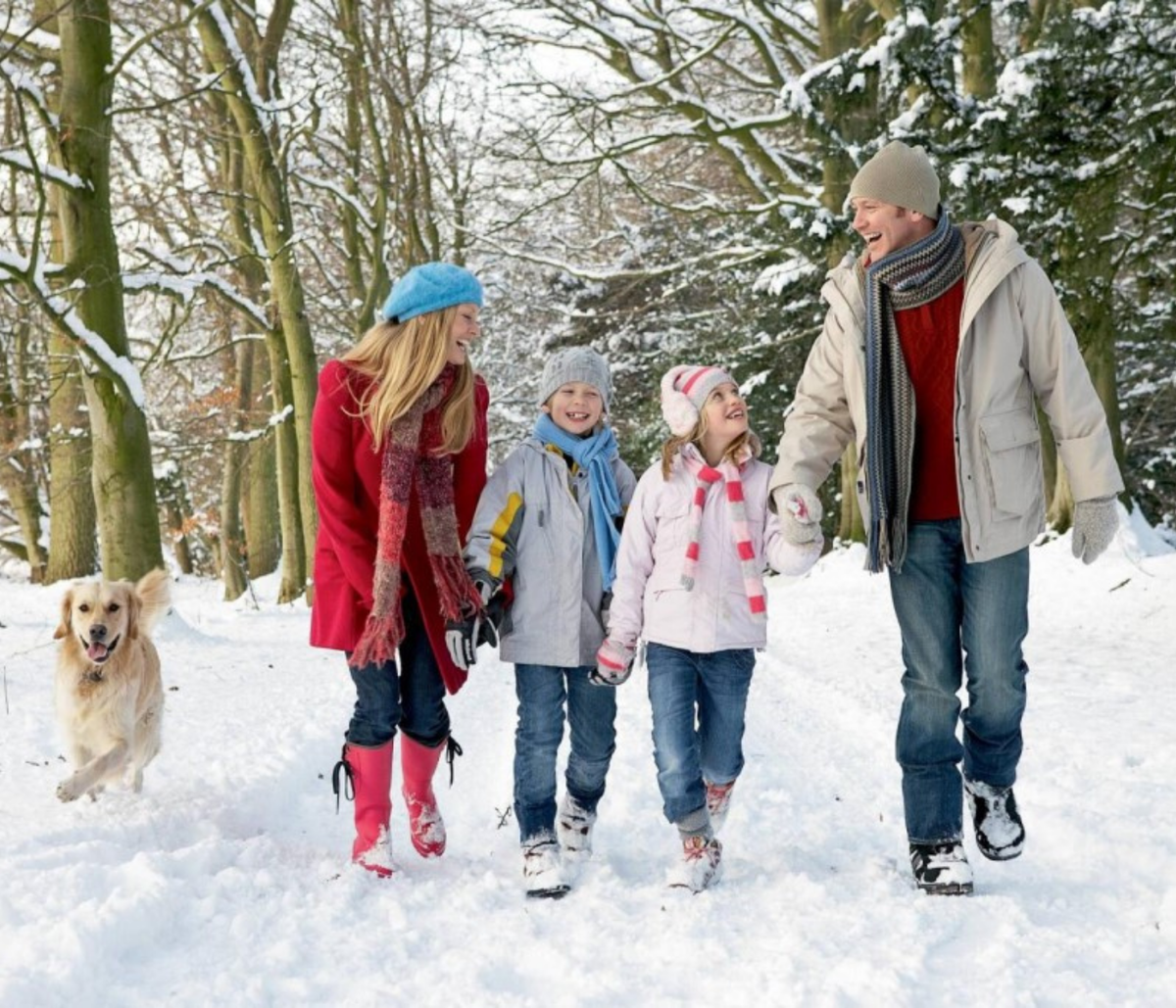 Гулять в настоящем времени. Прогулка в зимнем лесу. Зимние прогулки с детьми. Прогулки на свежем воздухе. Люди зимой.