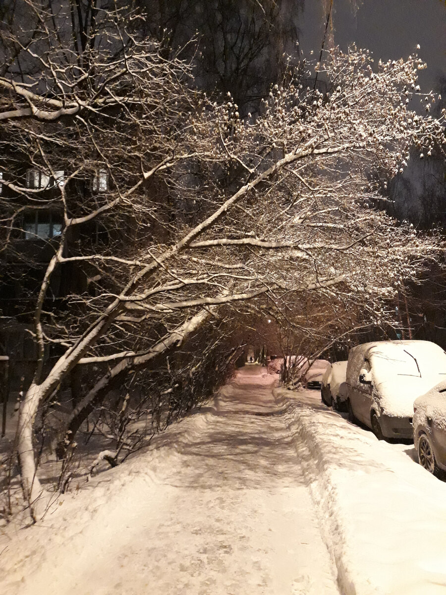 у нас сейчас очень красиво