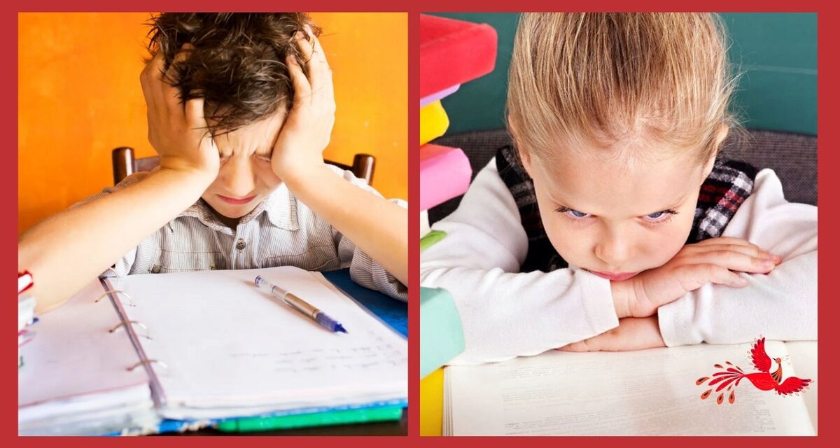 Яндекс картинки