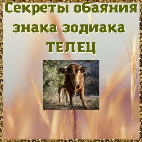 мой фотоколлаж 