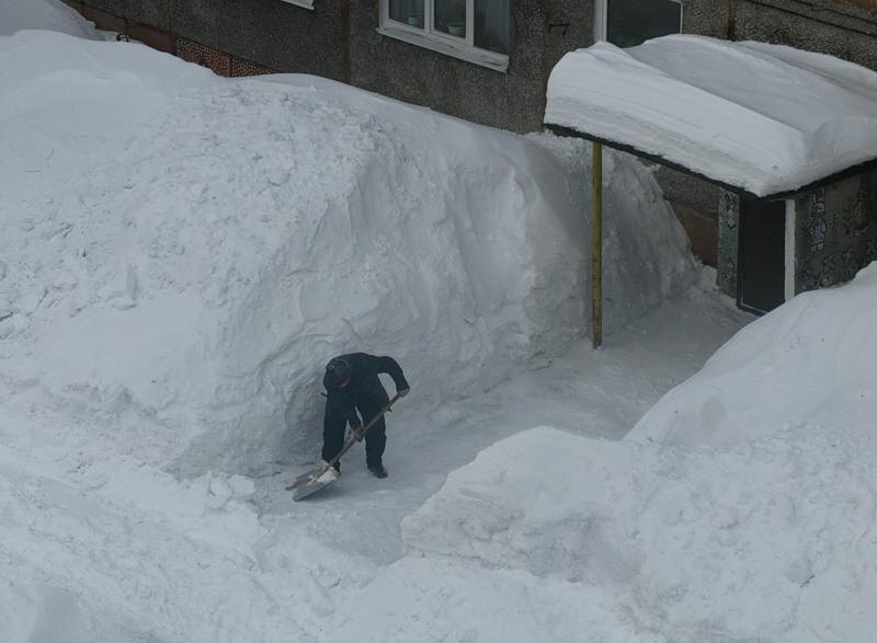 Иллюстрация из открытых источников