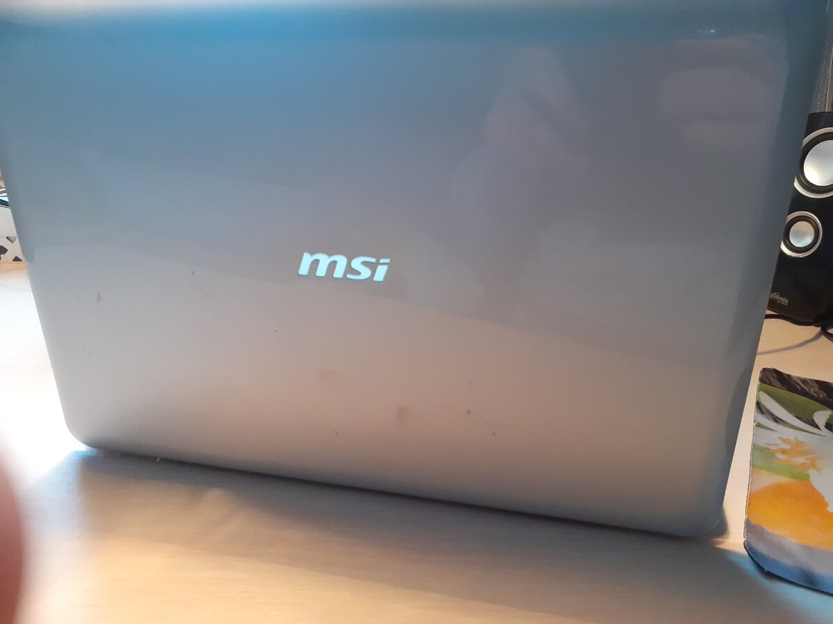 С задней же стороны у него красуется святащийся логотип MSI. Всё. 