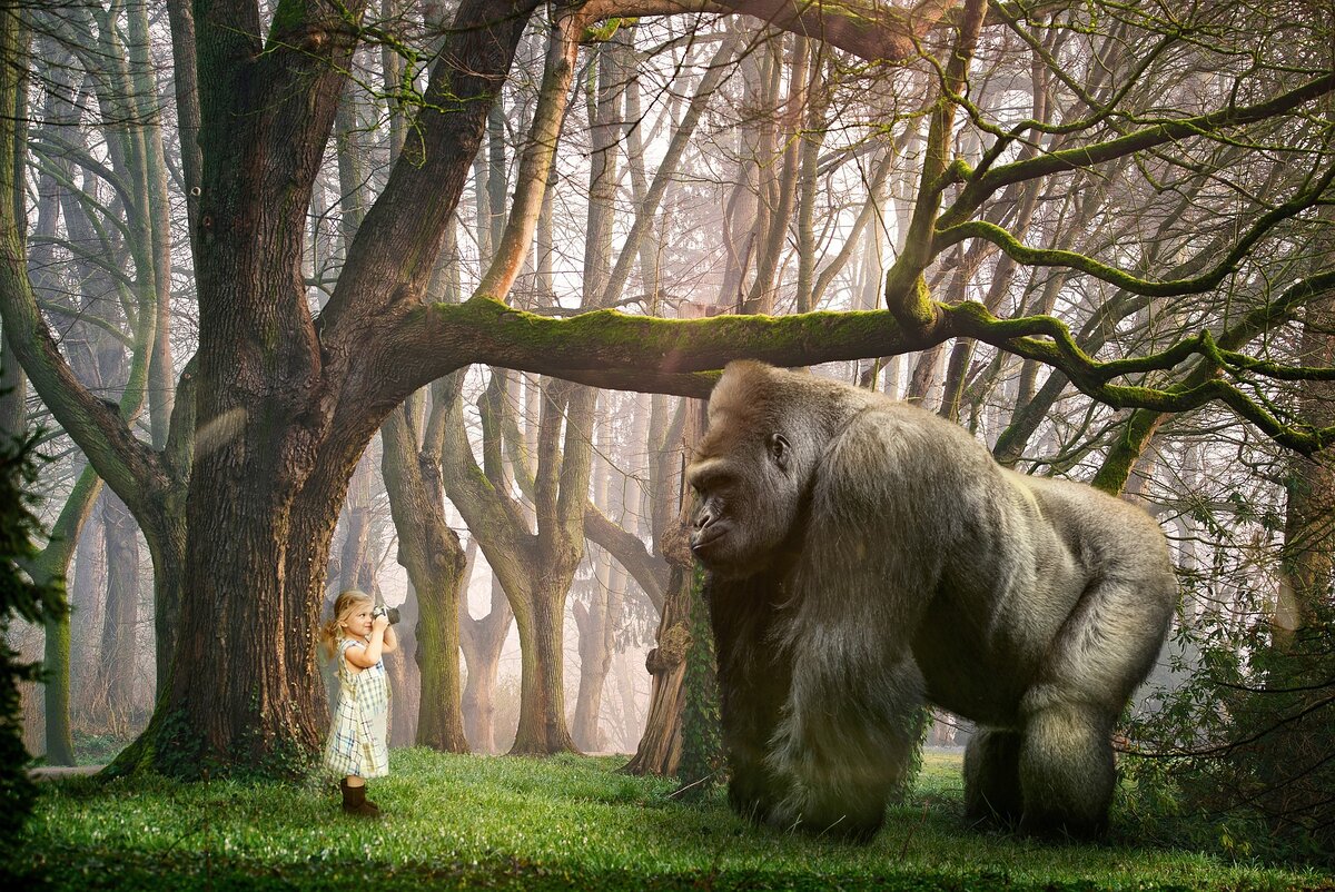 Картинка с бесплатного фотостока https://pixabay.com