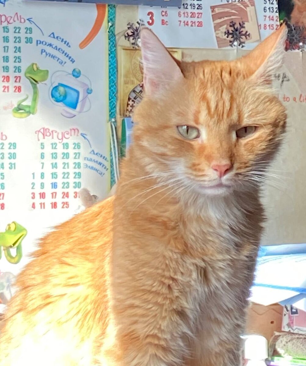 Следит за трафиком, пока все спят