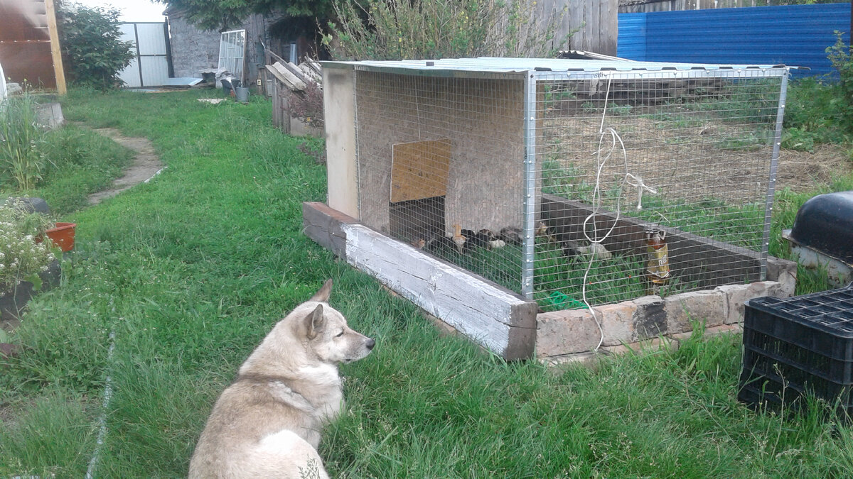 Майские праздники 