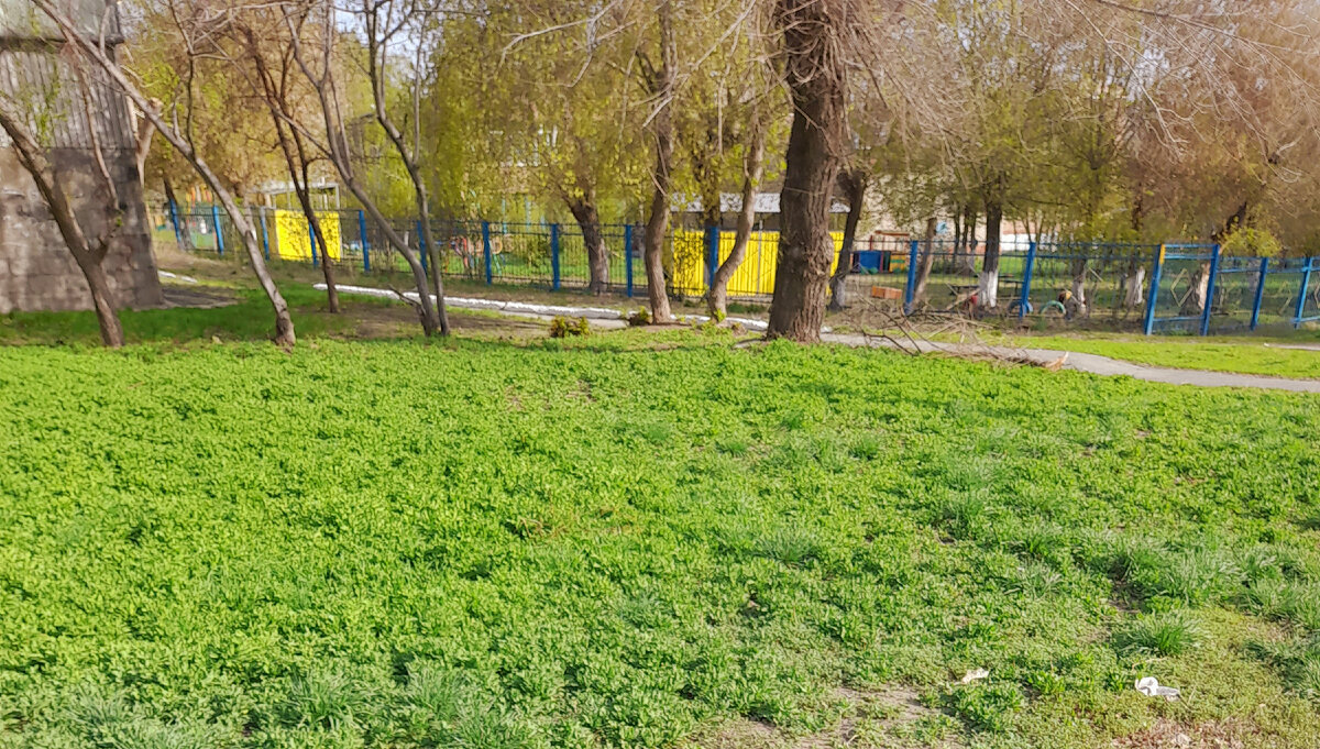 Апрель. Было теплее, чем сейчас...