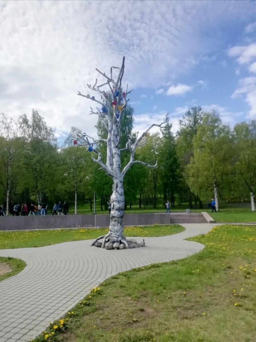 "Дерево желаний" 