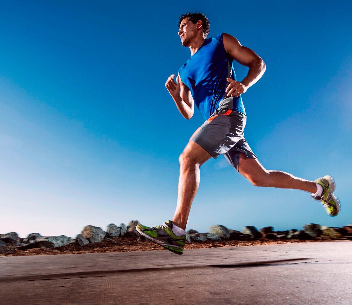 Яндекс картинки