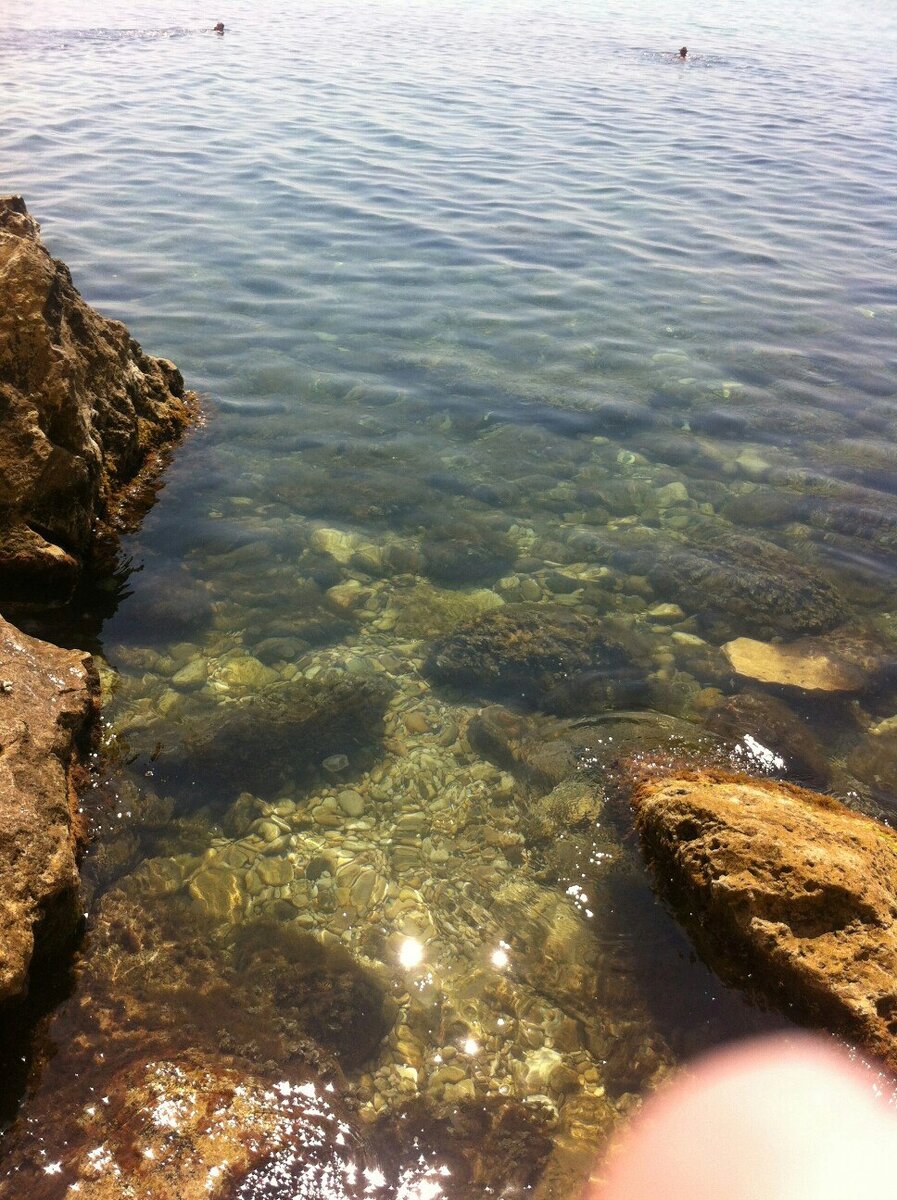 Фото автора ( мыс Фиолент)