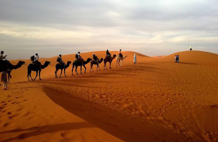    Фото: xisdom/pixabay.com