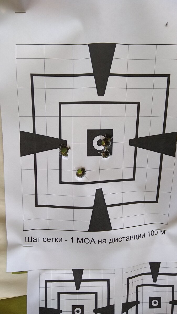 Фото автора статьи