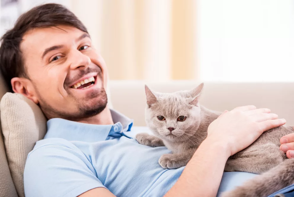 Man cats. Мужчина с котом. Кошка и хозяин. Коты и хозяева