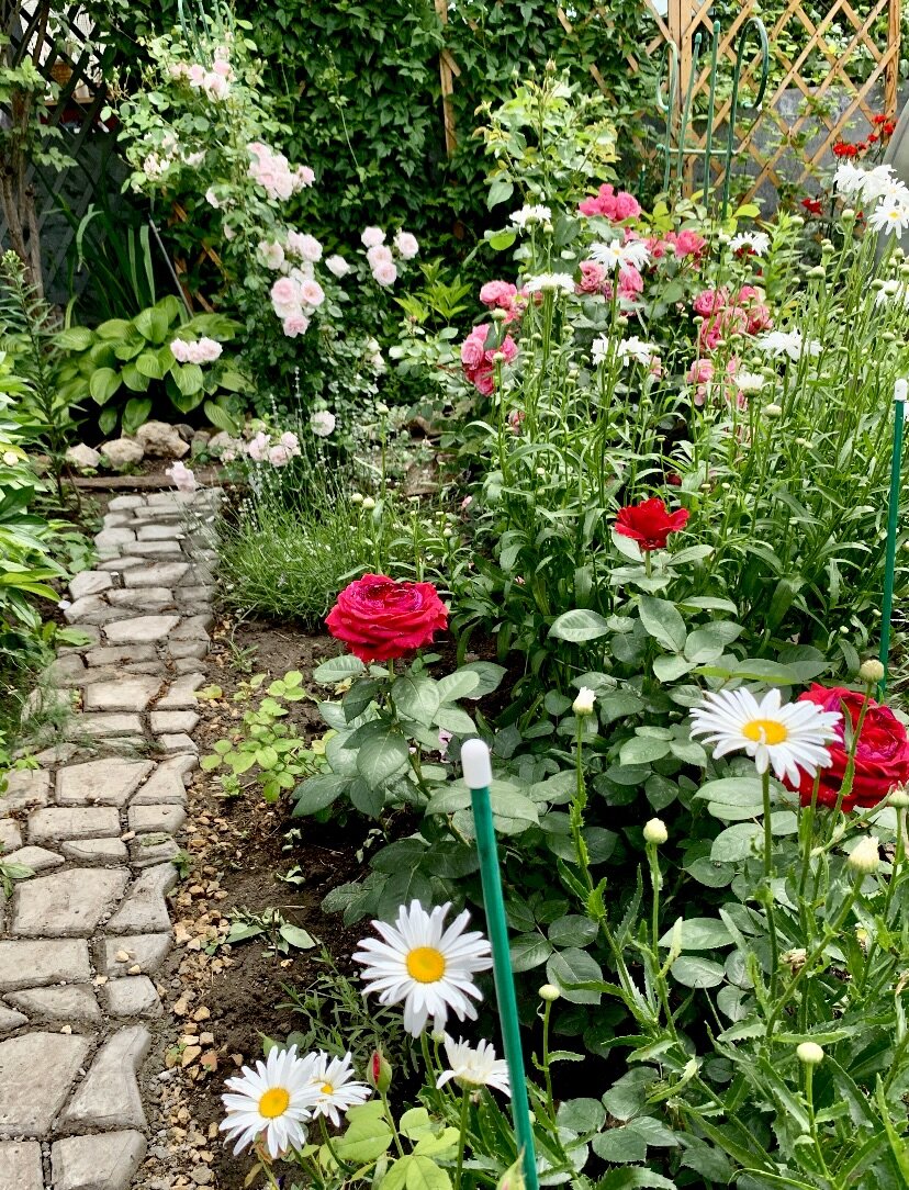 Фото автора.