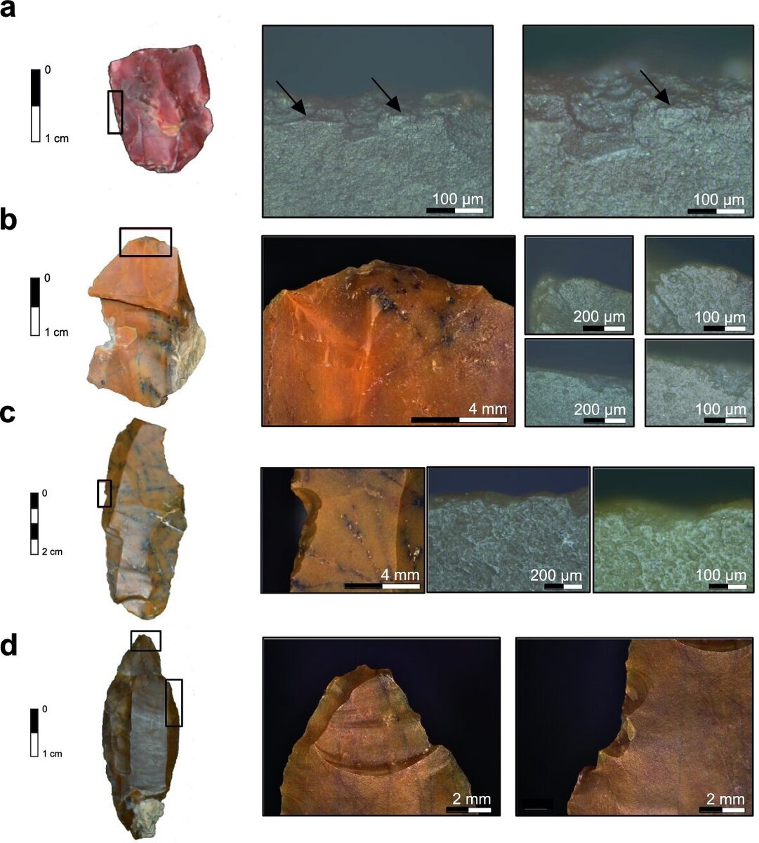   DOI: 10.1038/s41598-022-15544-5