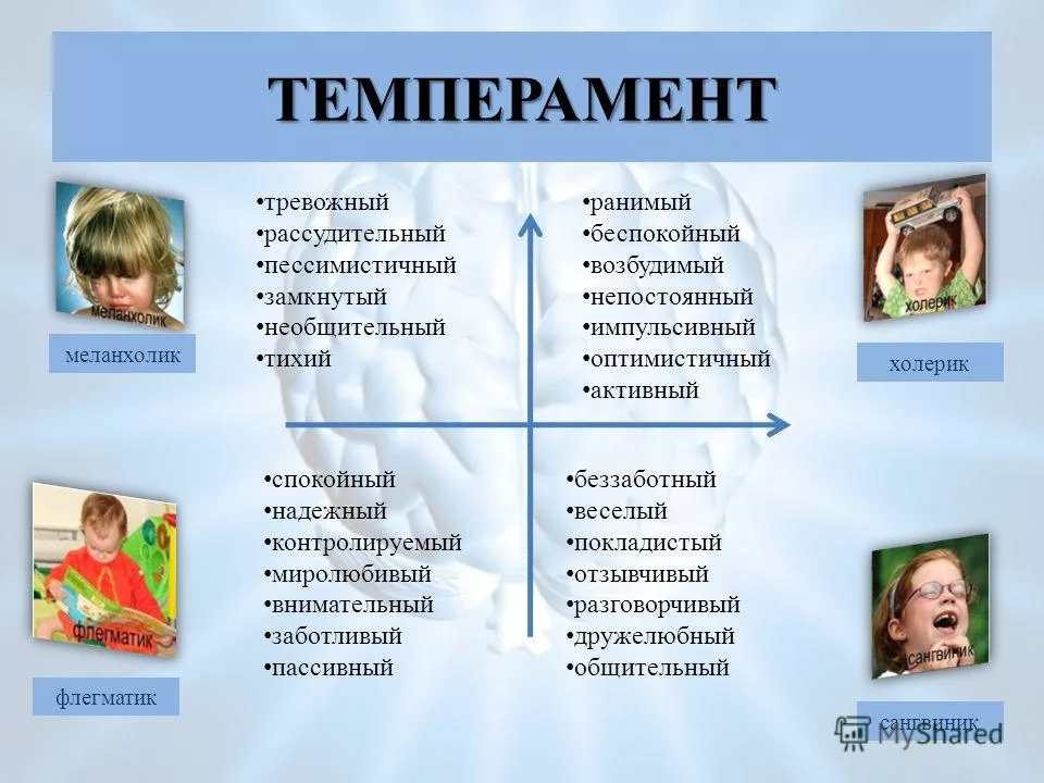 Почему одни хотят больше, а другие — меньше? Разговор с сексологом про темперамент