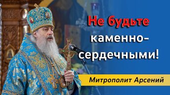 На молебнах не стоят, а плачут и вымаливают: митр. Арсений о каменносердечии и холодности 10.08.2023 г.