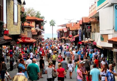 Поисковая система Яндекс