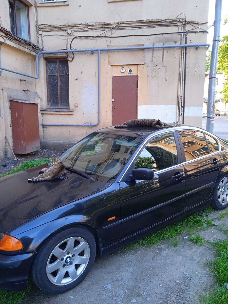 Фото мужа.  Прислал вот на работу)). 