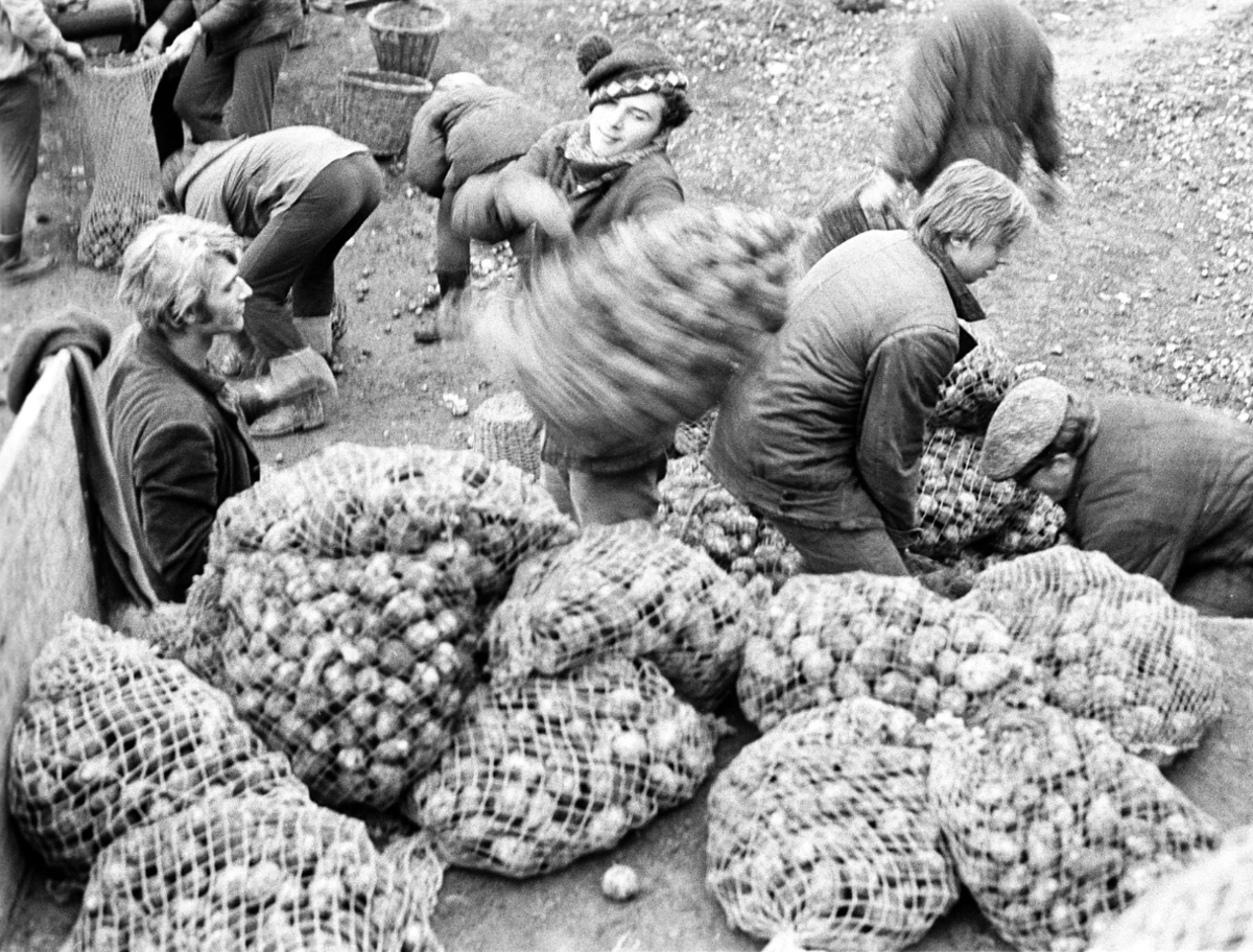 Фото Р. Денисова / РИА Новости