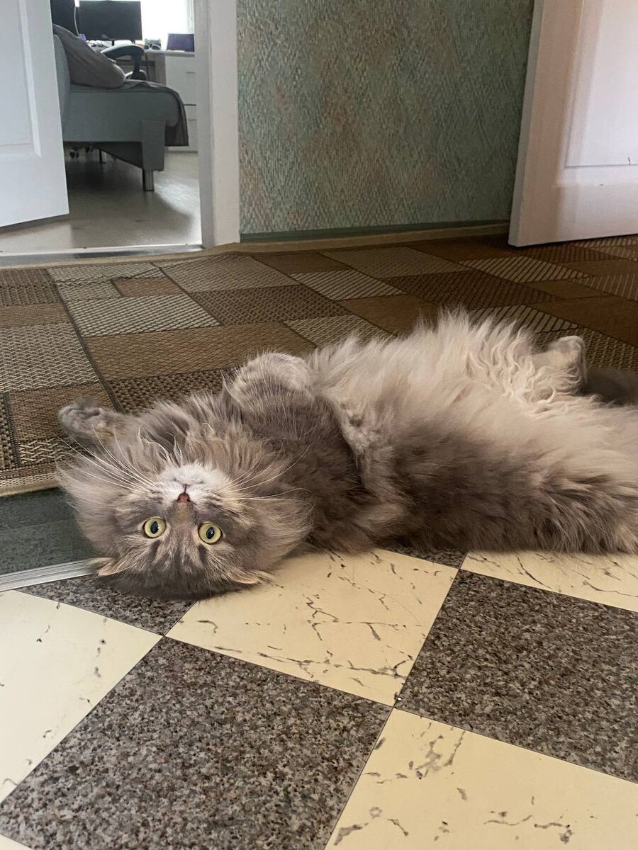 Йосик для поднятия настроения