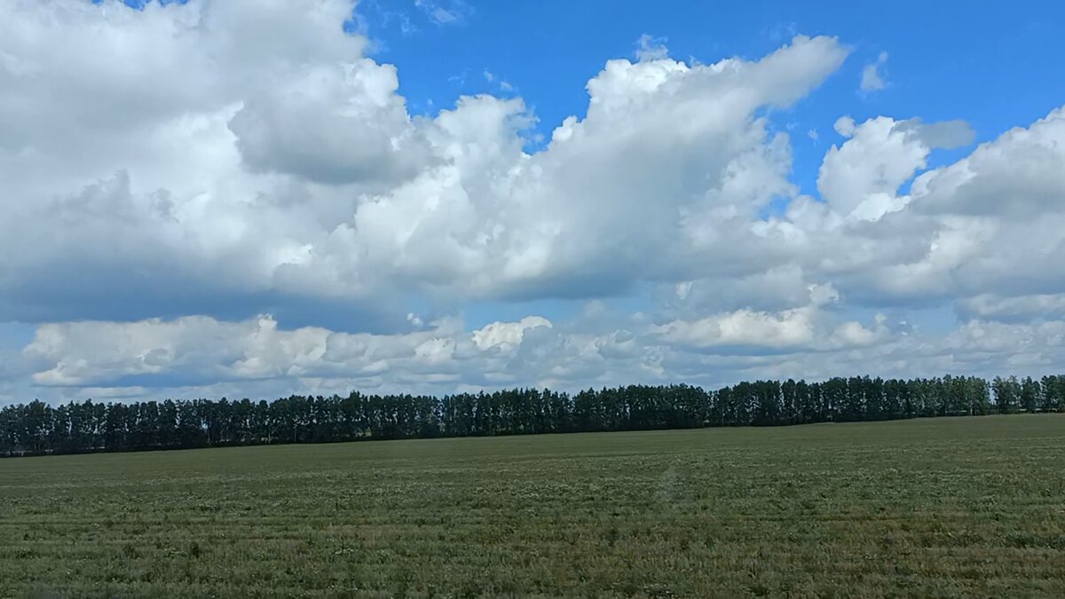 Дорога в село Красивое Мичуринского района.
