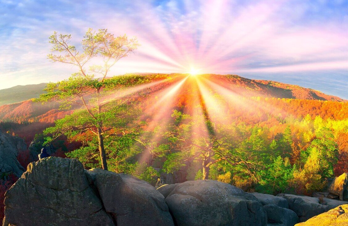 картинки Яндекса