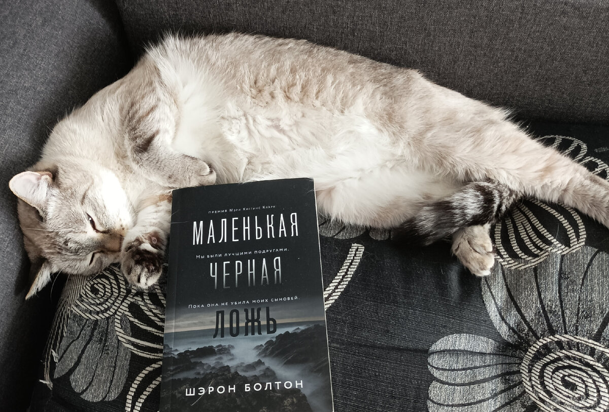 Сегодня читаемую книгу в мягкой обложке представляет Дженька