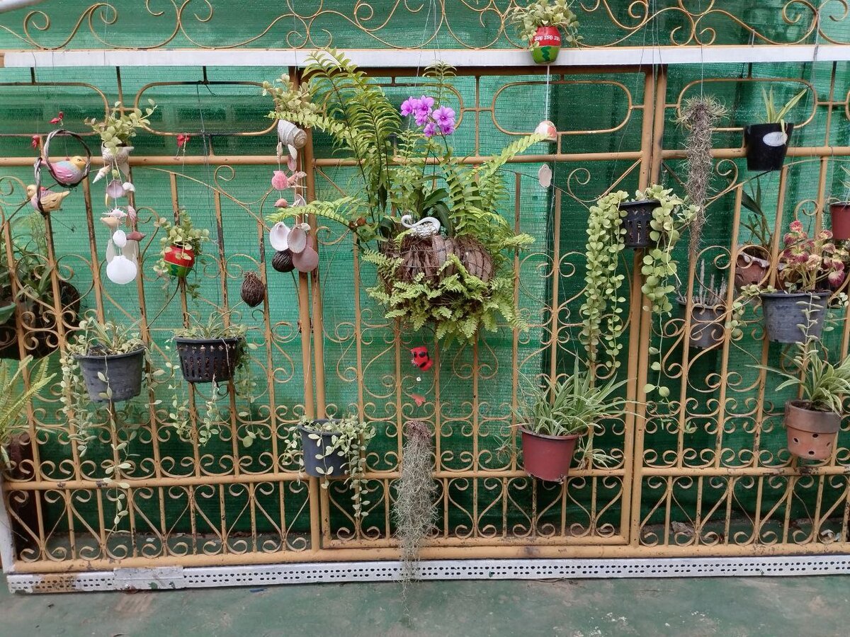 Рядом с хостелом.