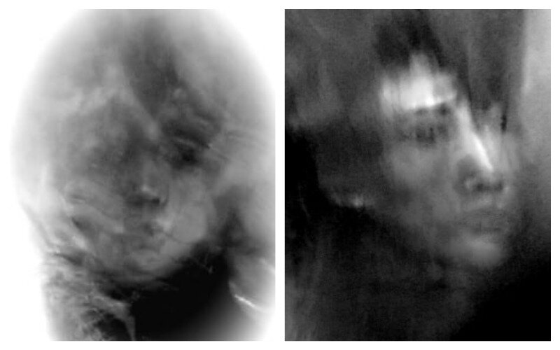 Фото тонкого мира Светланы Небольсиной