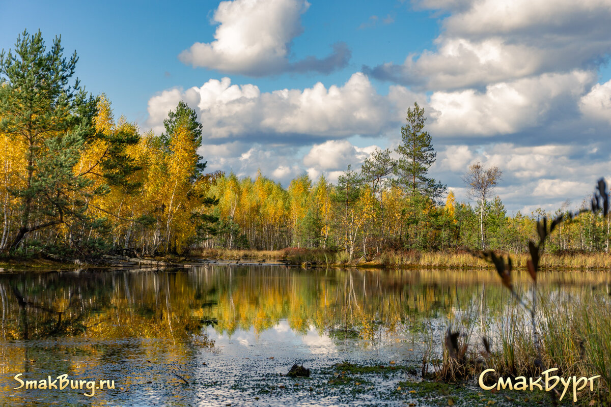 Золотая осень наступает на ваших глазах.  Как же она хороша! Листайте дальше ---->>>