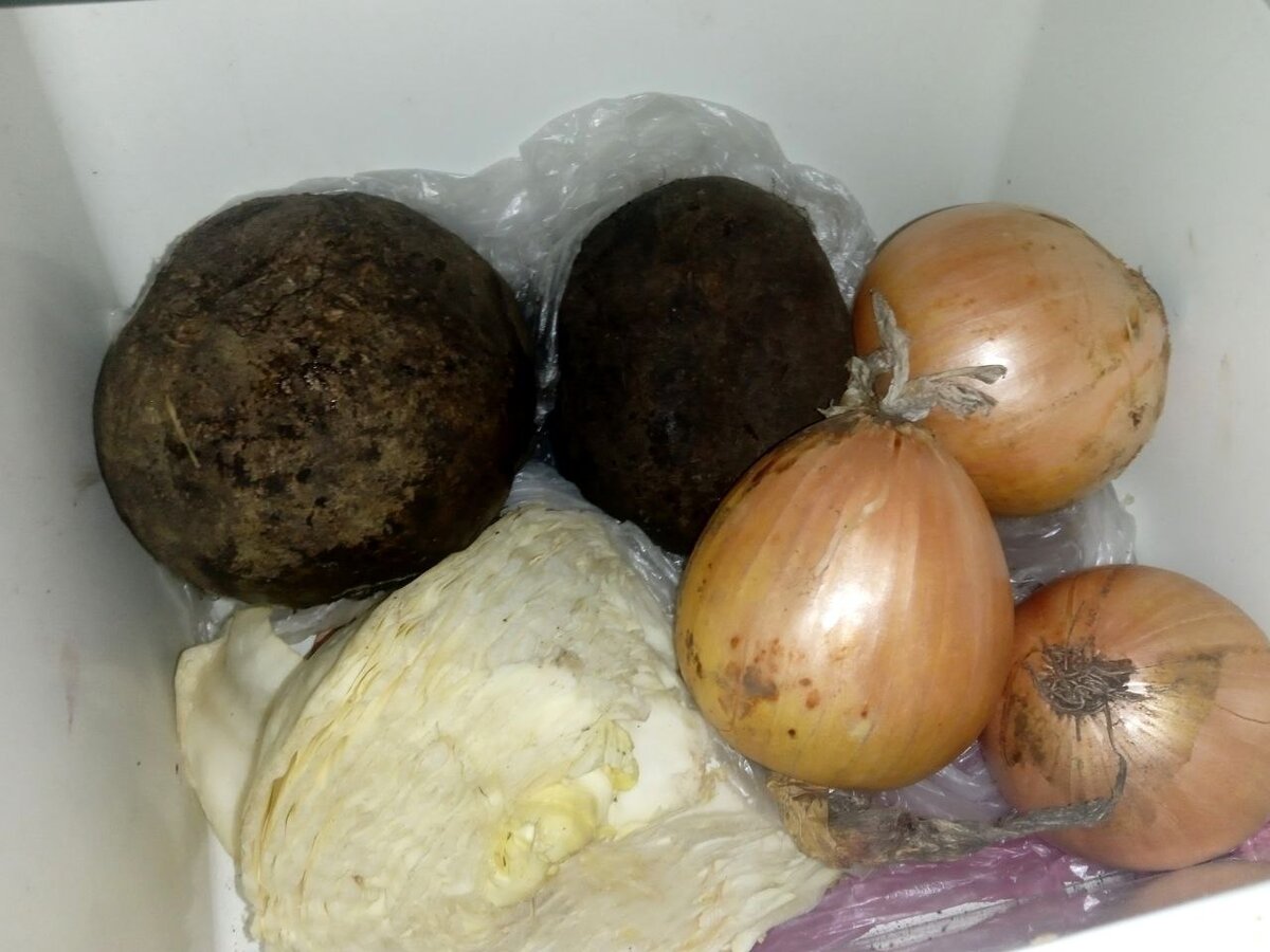 Особенности хранения лука с другими овощами и фруктами