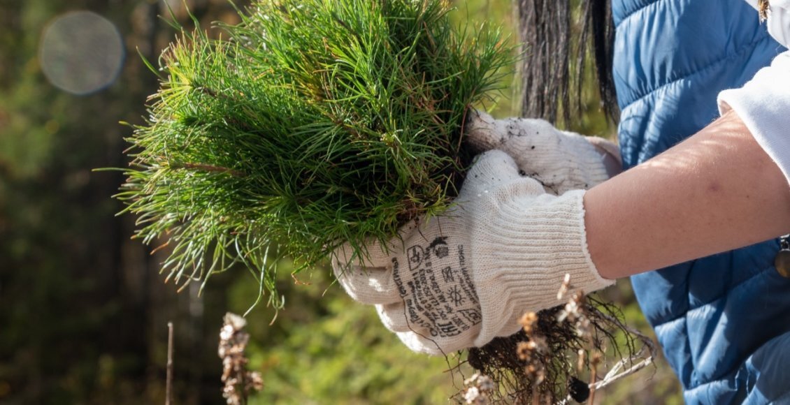    Фото: пресс-служба РусКлиматФонда