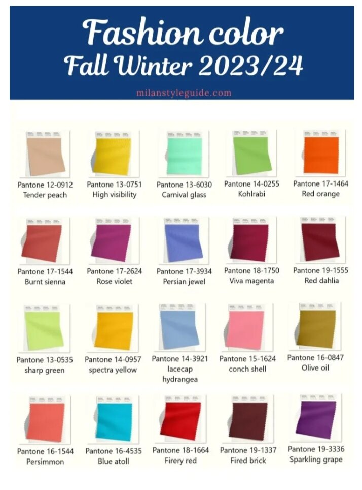 Фото взято из открытых источников 