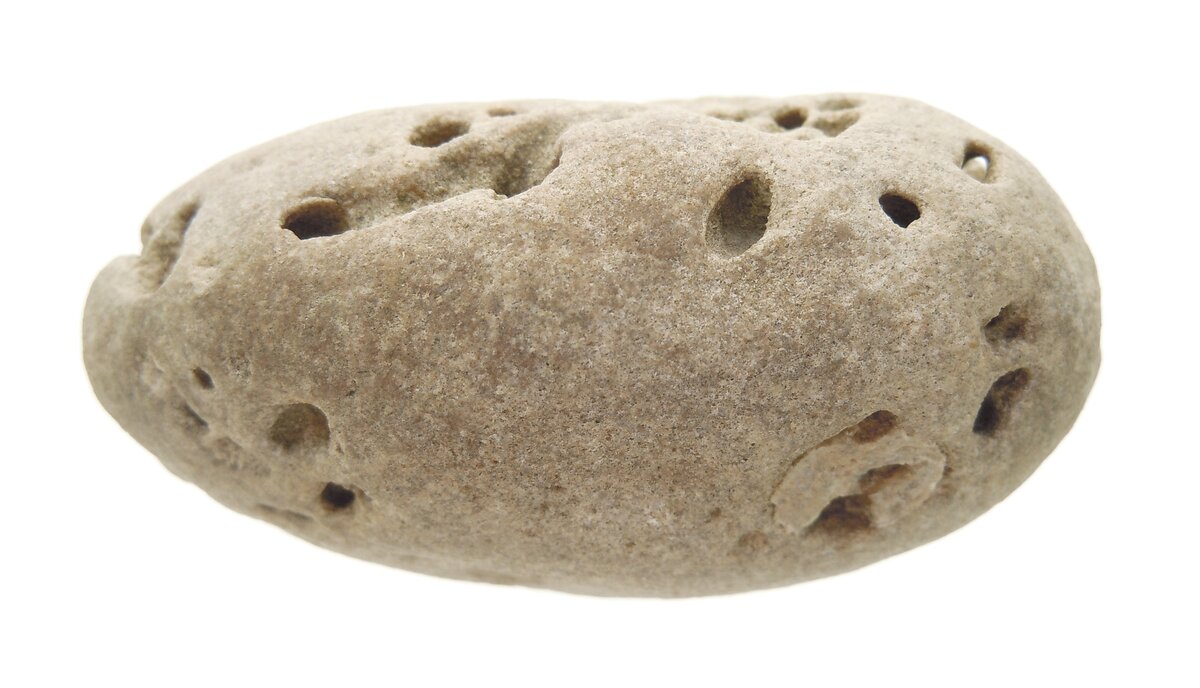 В прошлом году я обещал опубликовать это сенсационное открытие. Но до нынешнего момента это было невозможно. Теперь обстоятельства изменились, но всё же объект будет ещё исследоваться и изучаться.-4