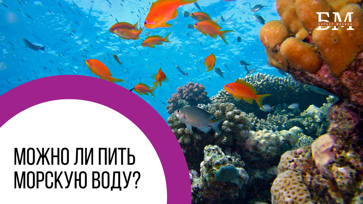 Как опресняют морскую воду?