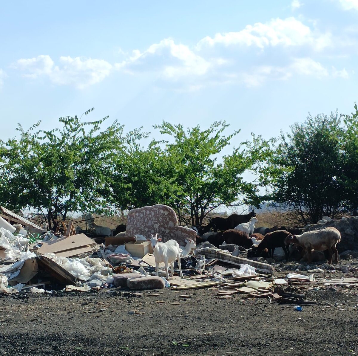 Фото: Юлия Банщикова, «Краснодарские известия»