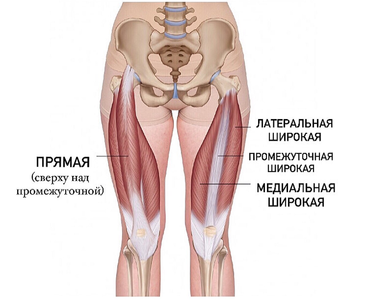 Растяжка квадрицепса бедра