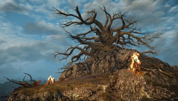 (фото взято с просторов интернета).