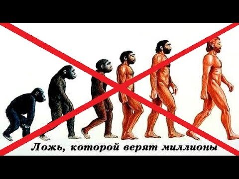 Яндекс картинки