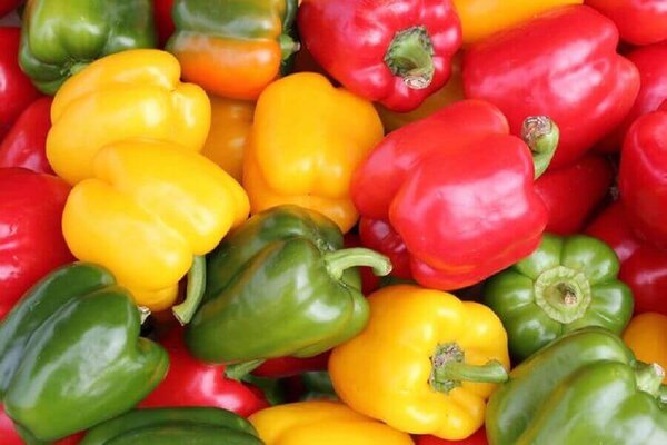 В чем разница между зеленым, оранжевым и красным болгарским перцем?