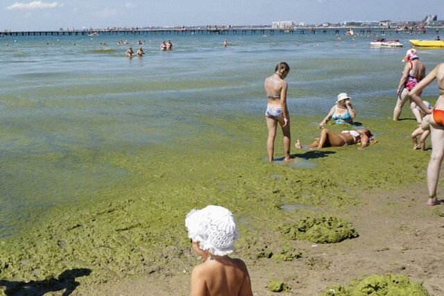 Море летом в районе Центрального пляжа