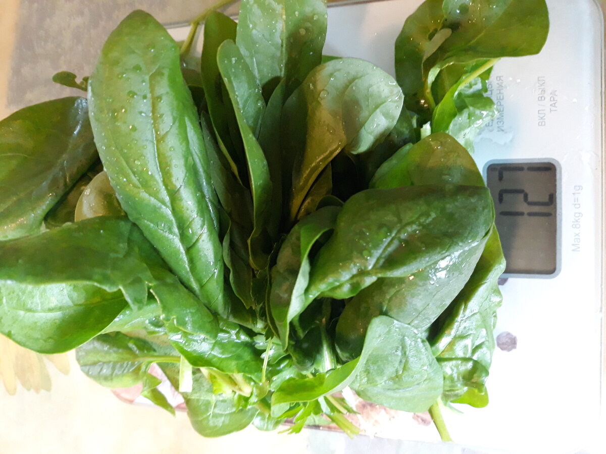 Фото  автора 