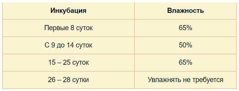 Таблица инкубации индюшиных яиц в инкубаторе