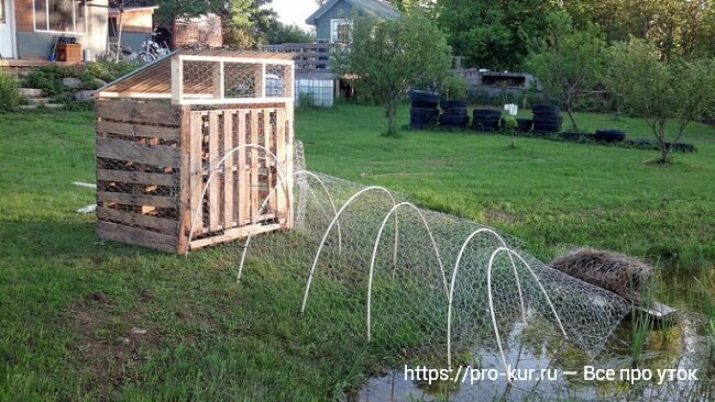 Повышение производительности домашней птицы