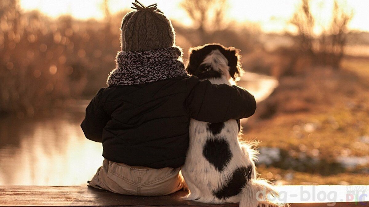 Фото Яндекс картинки