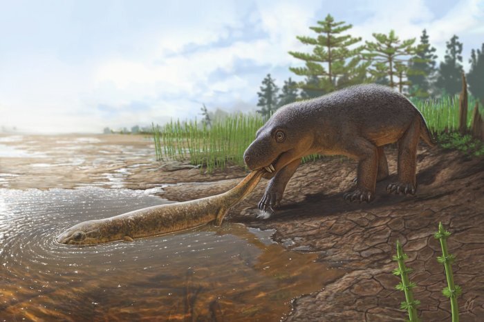 Горыныч (Gorynychus sundyrensis) пойма л крупного двинозавра. /Иллюстрация А. Атучин