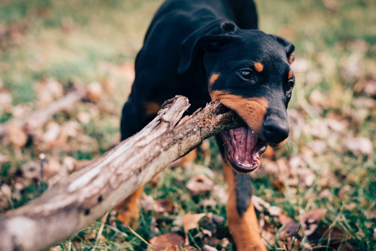 Photo by Jordan Whitt on Unsplash